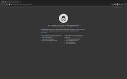 Inkognito-Modus im Browser für neutrale Suchergebnisse